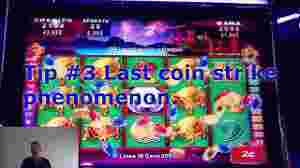 heavypinkwatermelon95431 icon